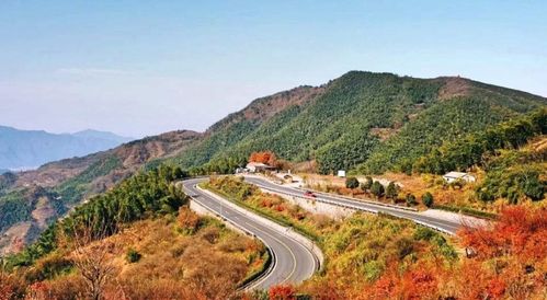 馳騁浙里，挑戰(zhàn)自我 浙江三條絕美盤山公路與鐵路隔離柵的守護(hù)